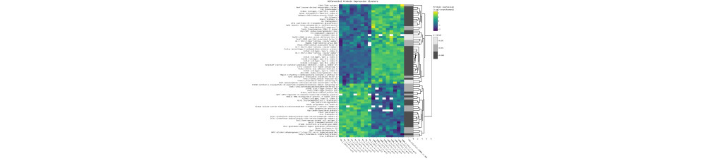 Differential Protein Expression Analysis Service