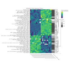 Differential Protein Expression Analysis Service